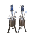 Lab equipment high pressure stainless steel reactor 10L